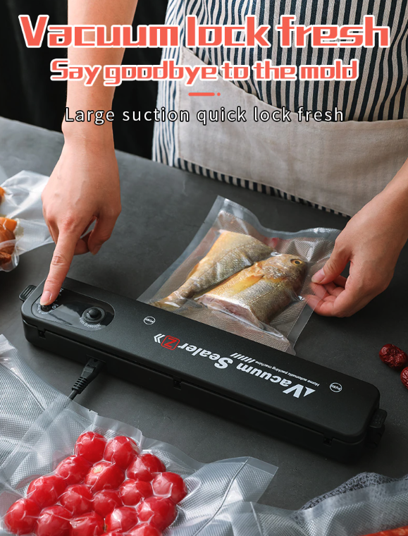 Vacuum Sealer Machine Food Preservation Storage Saver Automatic by Puce Gaia Food Storage