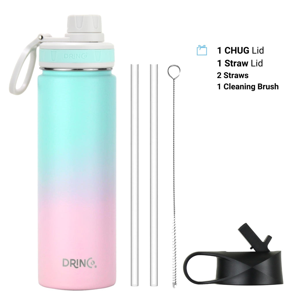 DRINCO® 22oz Stainless Steel Sport Water Bottle - Macaron by Orchid Lavender Water Bottles